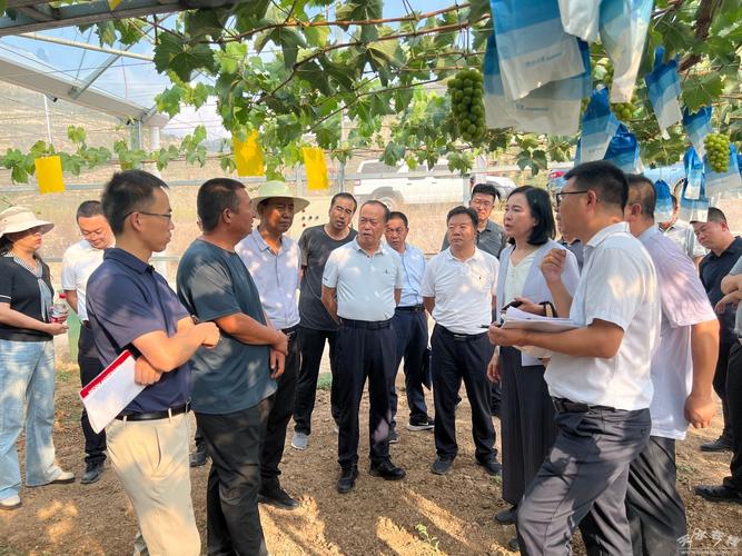 天水市孙银禄口腔诊所_天水市孙银禄口腔诊所_天水市孙银禄口腔诊所