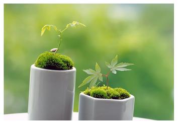 2020年在职硕士mba 2020在职硕士MBA报考指南：双证院校盘点与专业推荐