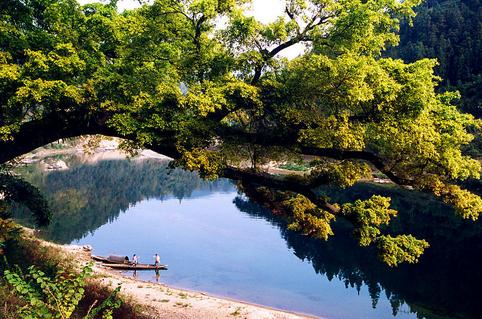 mba毕业后得到什么证书 MBA毕业拿什么证书？一文说清在职研究生双证含金量